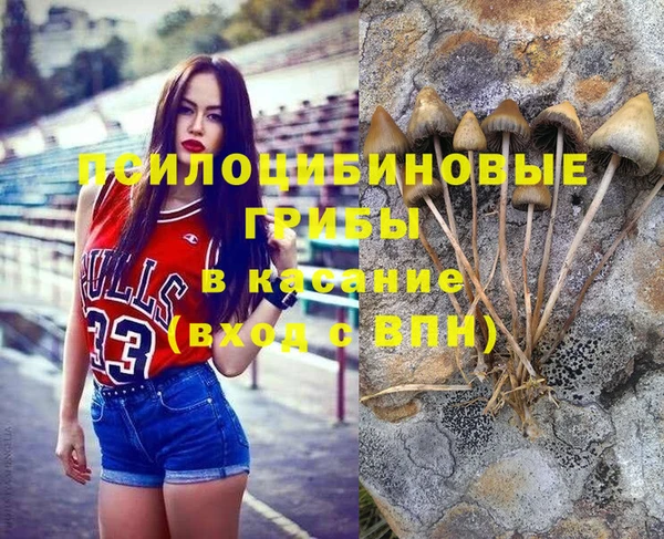 прущие крисы Арсеньев
