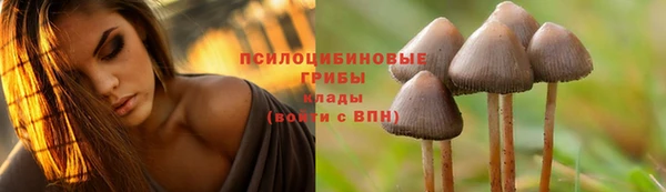 прущие крисы Арсеньев