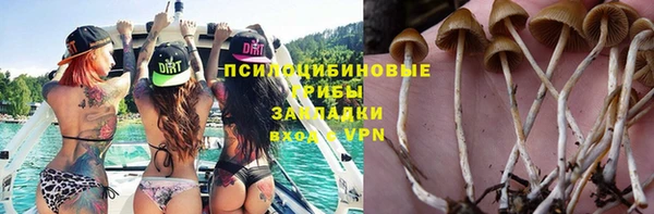 трава Армянск