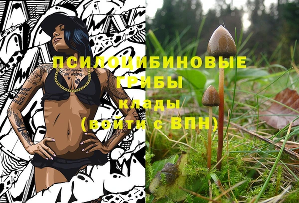 трава Армянск