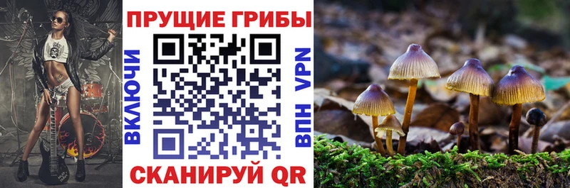 Галлюциногенные грибы ЛСД  что такое   Долгопрудный 