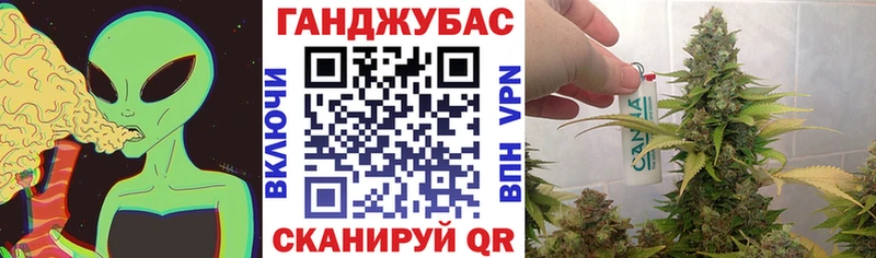 Канабис Bruce Banner  купить  цена  Долгопрудный 